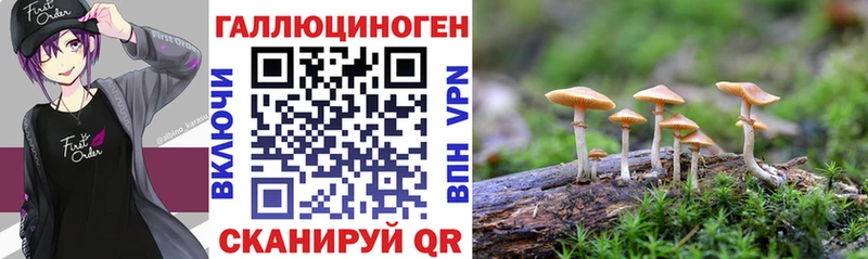 купить наркотики цена  Елизаветинская  Галлюциногенные грибы прущие грибы 