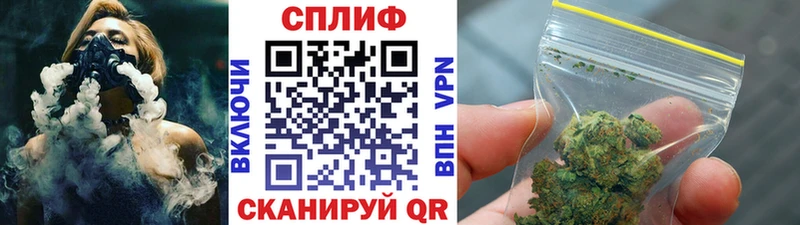 Шишки марихуана сатива  Елизаветинская 